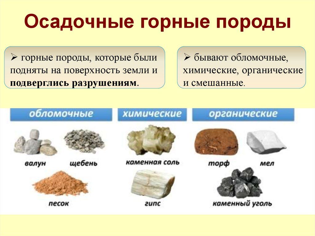 slide-7.jpg